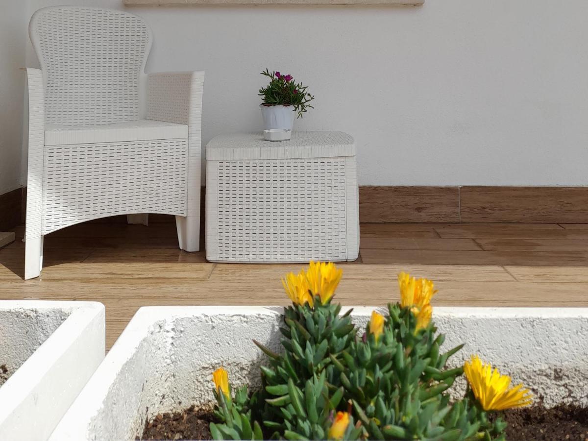 Guest House Al Mare Civitavecchia Zewnętrze zdjęcie