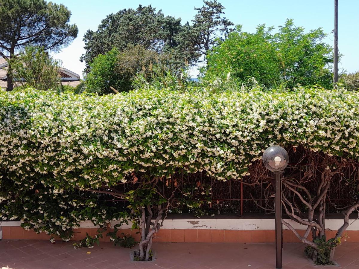 Guest House Al Mare Civitavecchia Zewnętrze zdjęcie